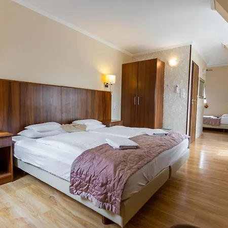 Petreny Borpanzio Nocleg ze śniadaniem 4*