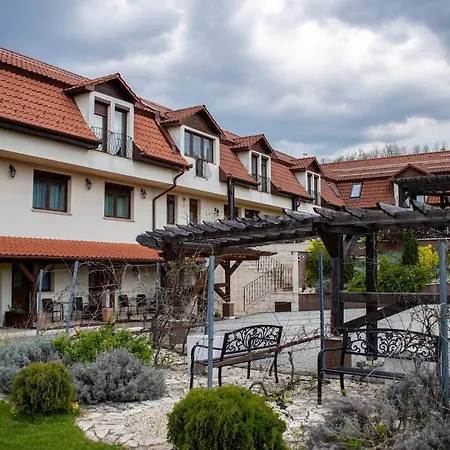 Bed & Breakfast Petrény Borpanzió