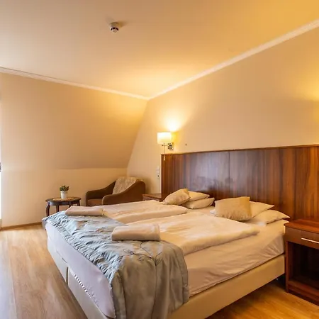 Bed and Breakfast Petreny Borpanzio
