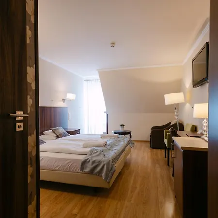 Petreny Borpanzio Oda ve Kahvaltı 3*
