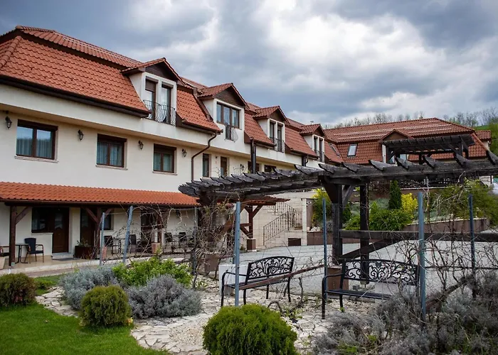 Oda ve Kahvaltı Petreny Borpanzio