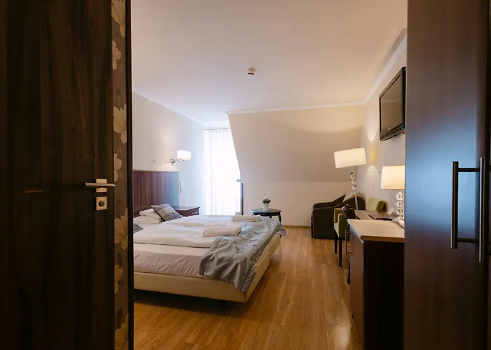 Petreny Borpanzio Oda ve Kahvaltı 3*